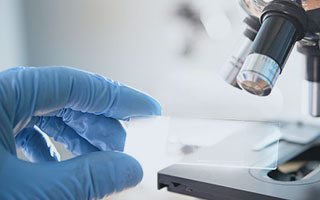 CE認(rèn)證、FCC認(rèn)證、FDA認(rèn)證、BST